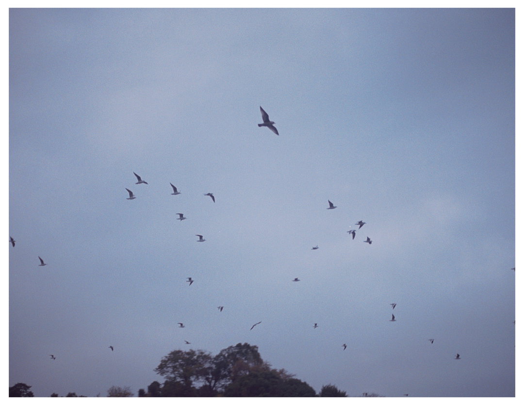 OsamuYokonami-Kumo-Photography-itsnicethat.jpg