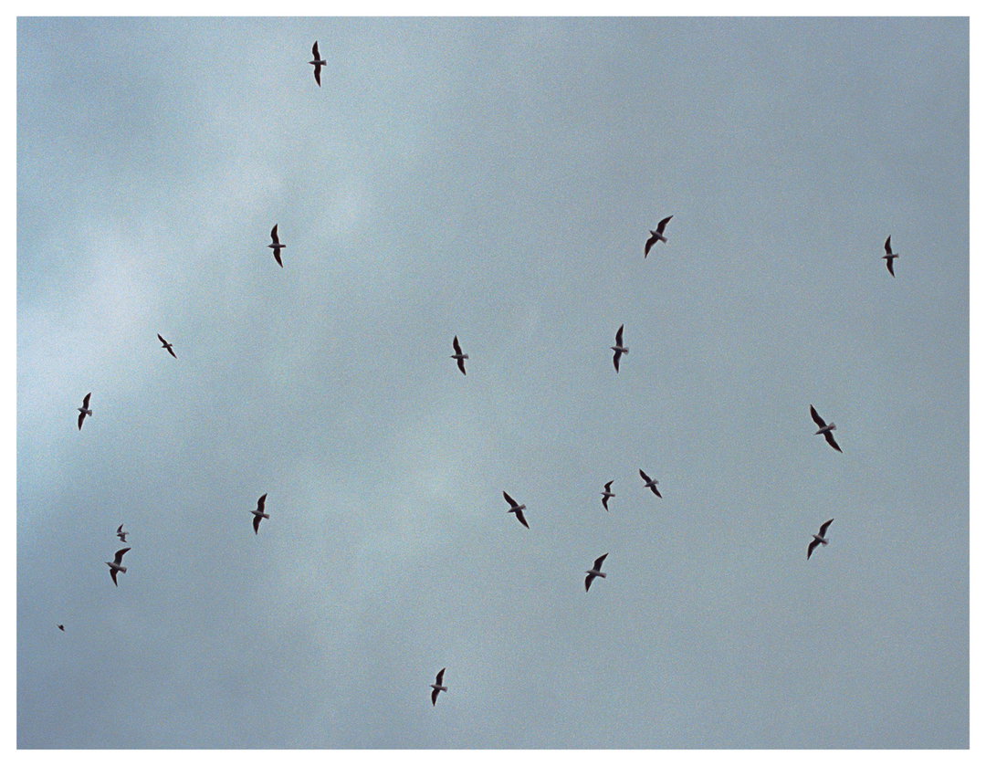 OsamuYokonami-Kumo-Photography-itsnicethat.jpg