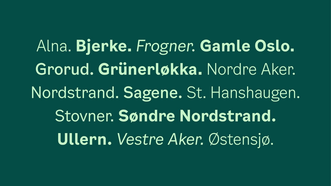 OsloSans-04.jpg