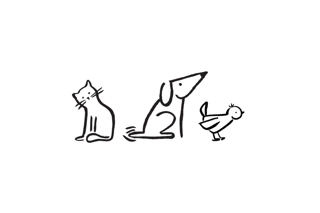 Monumento-Pet-a-Porter-GraphicDesign-itsnicethat.jpg