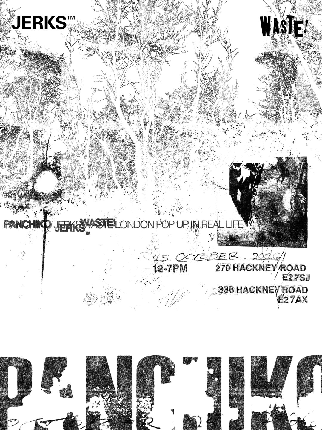 Panchiko Flyer.jpg