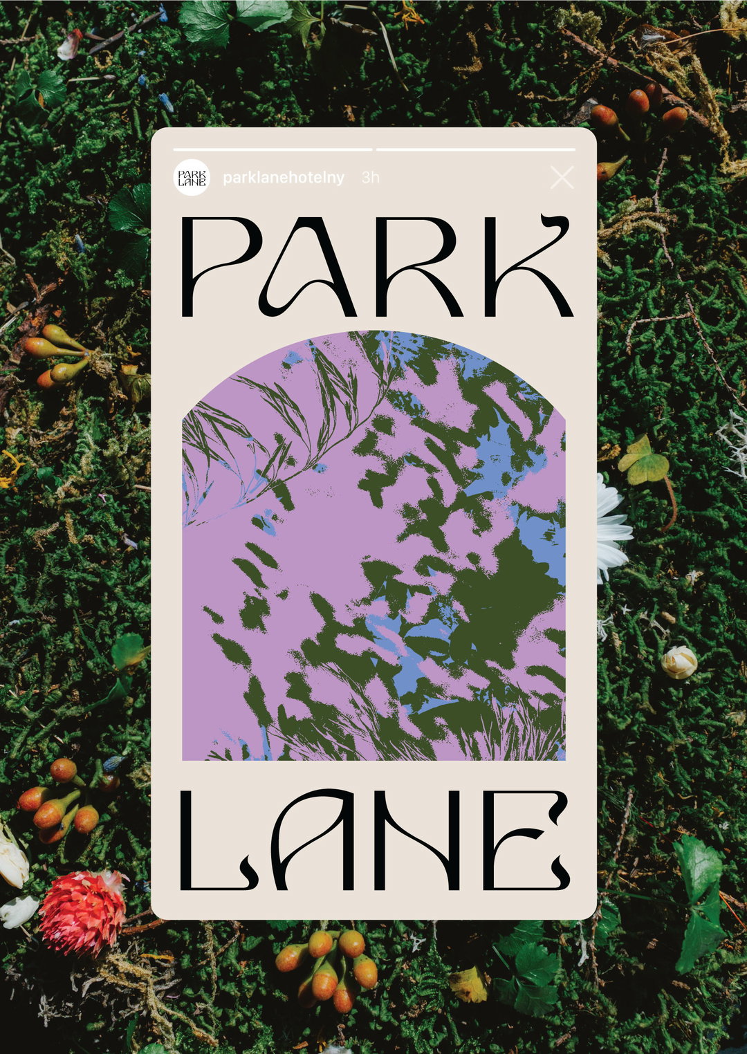 Park-Lane_Case-Study_13.jpg