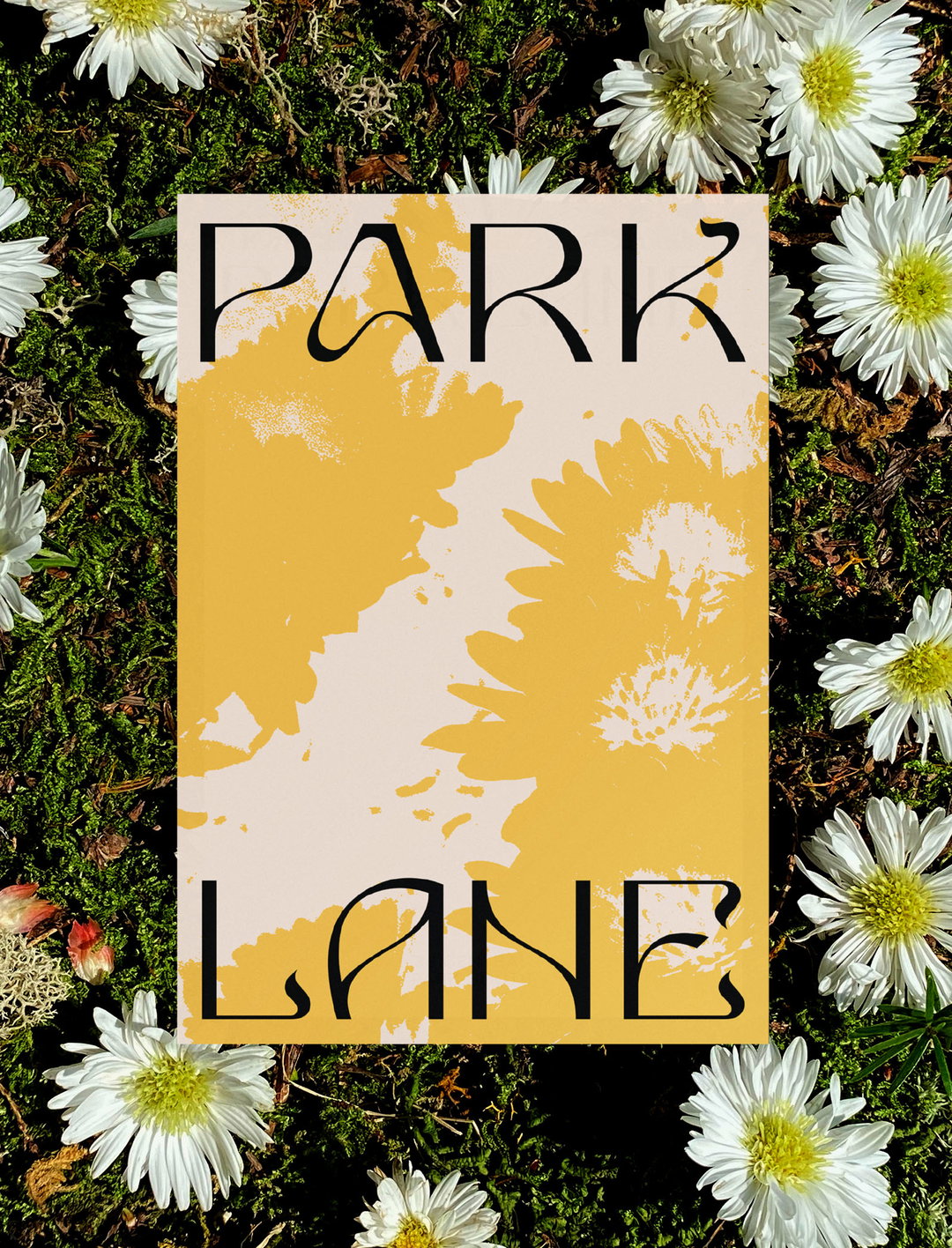 Park-Lane_Case-Study_23.jpg