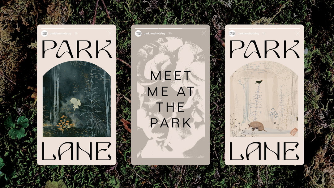 Park-Lane_Case-Study_8.jpg