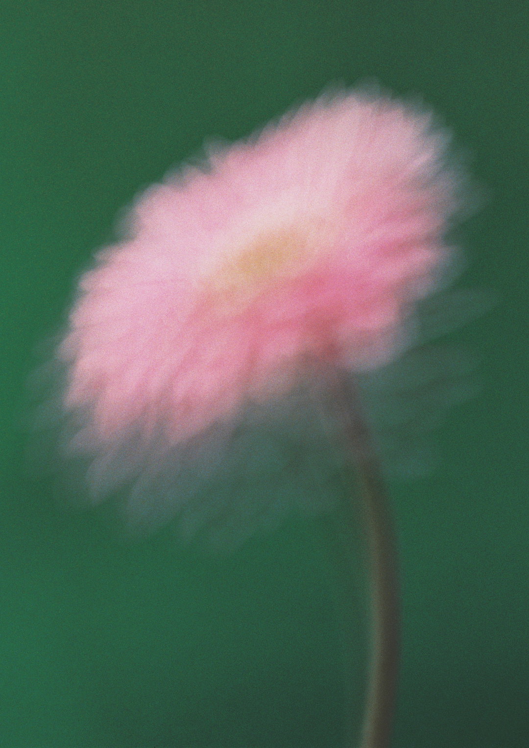 PaulaCodoner-Photography-itsnicethat.jpg