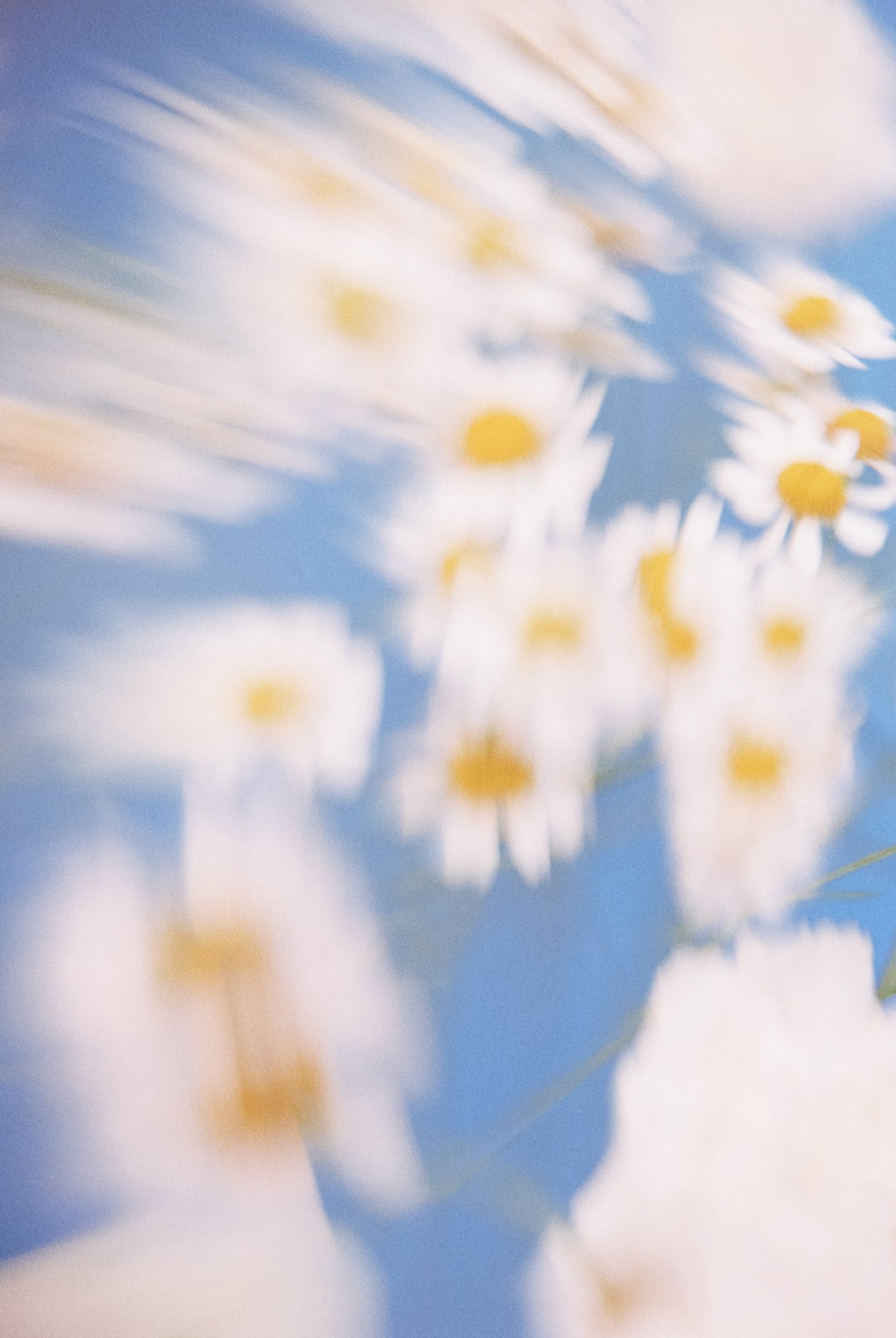 PaulaCodoner-Photography-itsnicethat.jpg