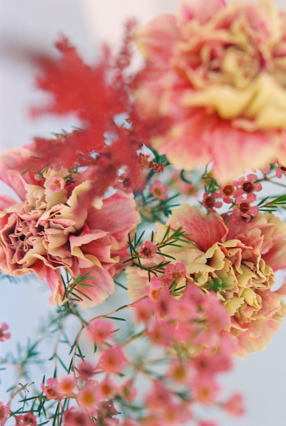 PaulaCodoner-Photography-itsnicethat.jpg