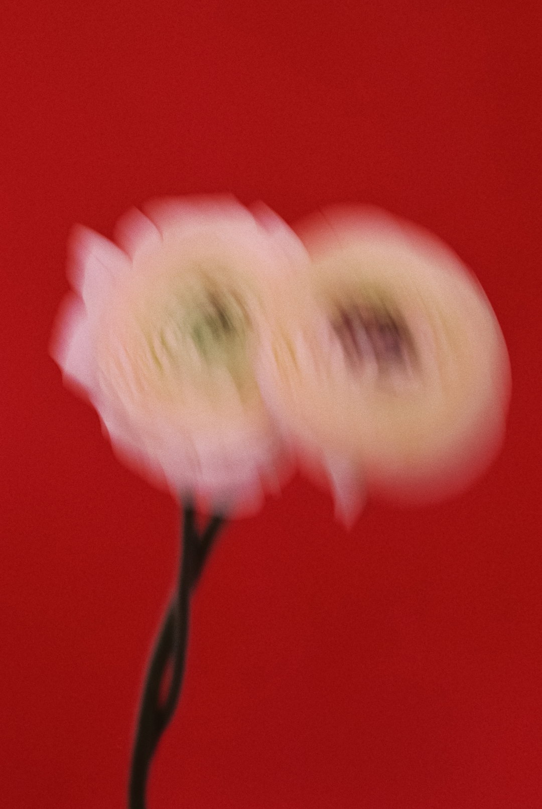 PaulaCodoner-Photography-itsnicethat.jpg