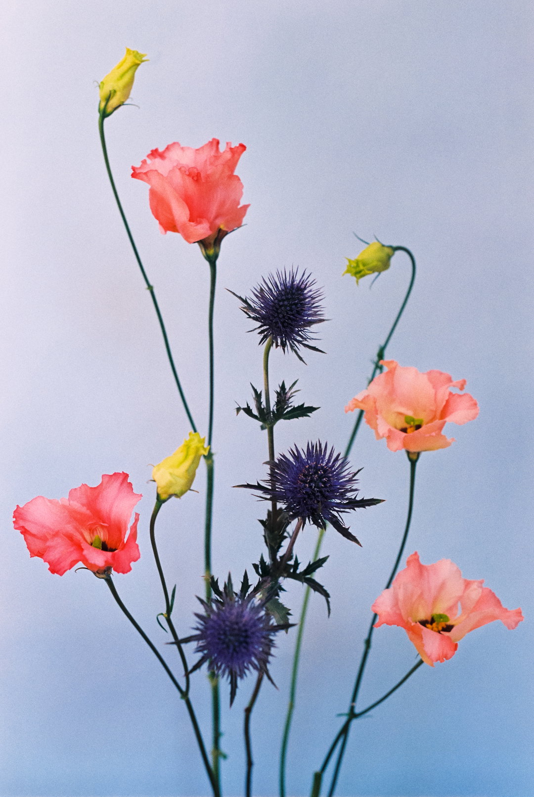 PaulaCodoner-Photography-itsnicethat.jpg