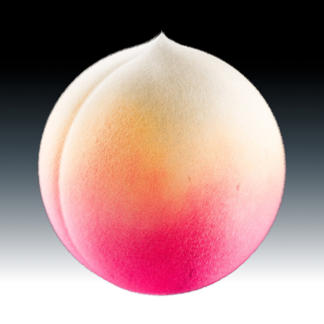 Joseph Töreki’s juicy renders are inspired by “perfect” pieces of Japanese fruit
