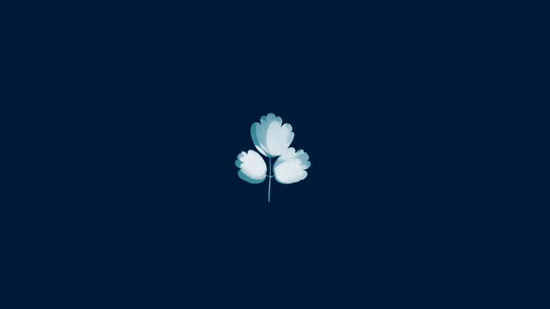 Pentagram-Grow-to-Know-Graphic-Design-Project-1.gif