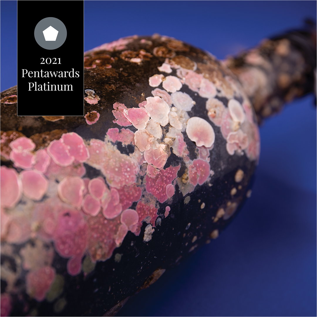 Pentawards-PlatinumAwards-ProductDesign-itsnicethat2.jpg