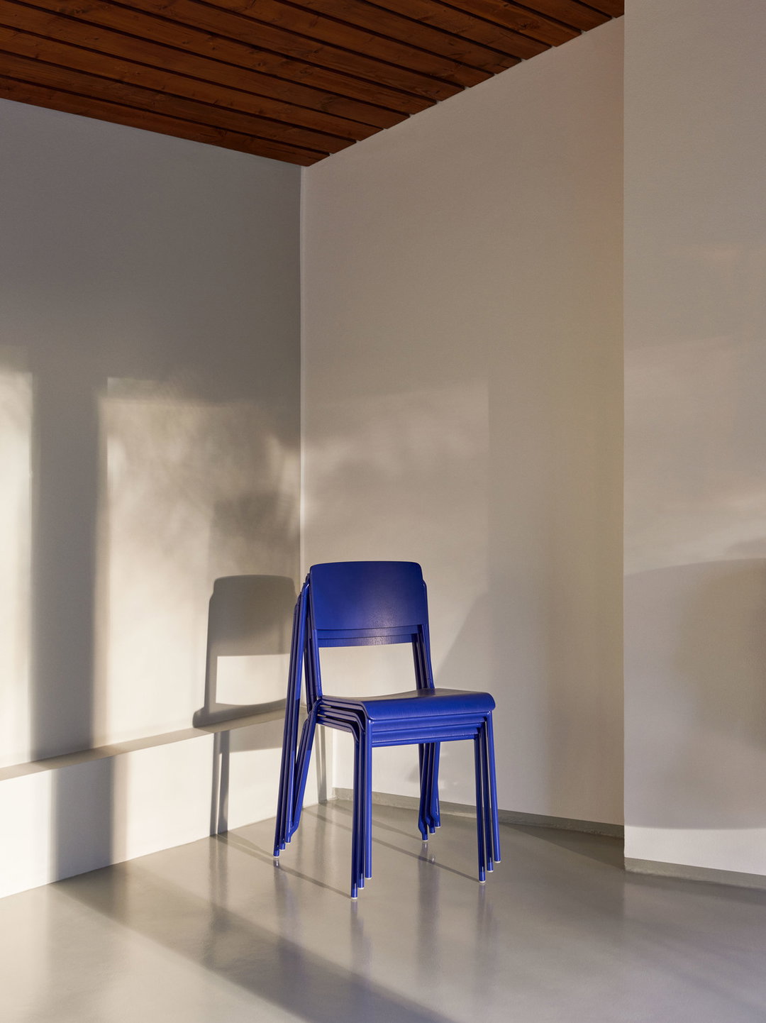 Petit_Standard_ultra_marine_blue_stained_oak_veneer_seat_and_back_ultra_marine_blue_powder_coated_steel_bas.jpg