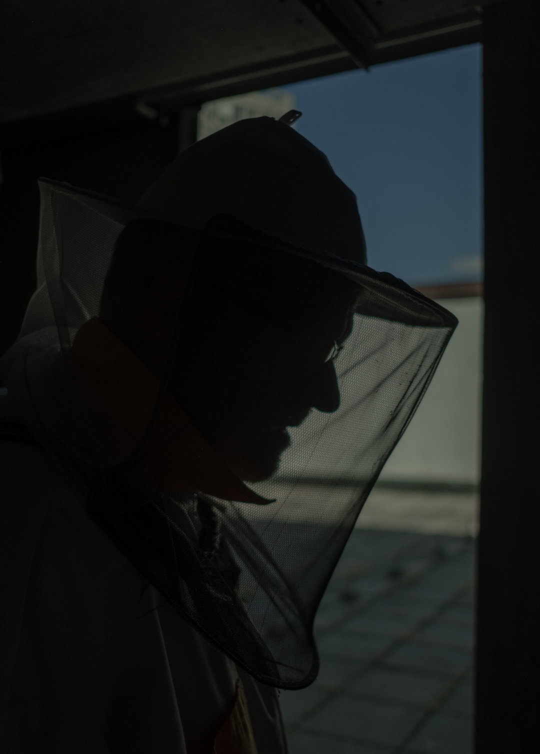 Pollinators - ItsNiceThat_015.jpg
