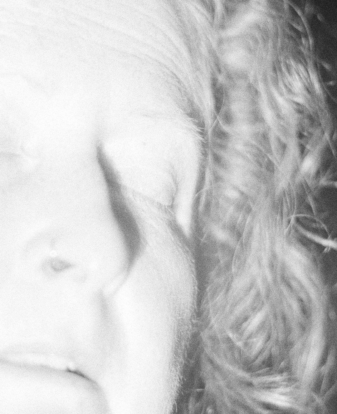 Polly White 4.jpeg