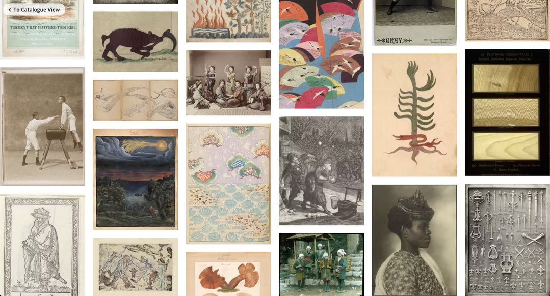 Public Domain Image Archive
