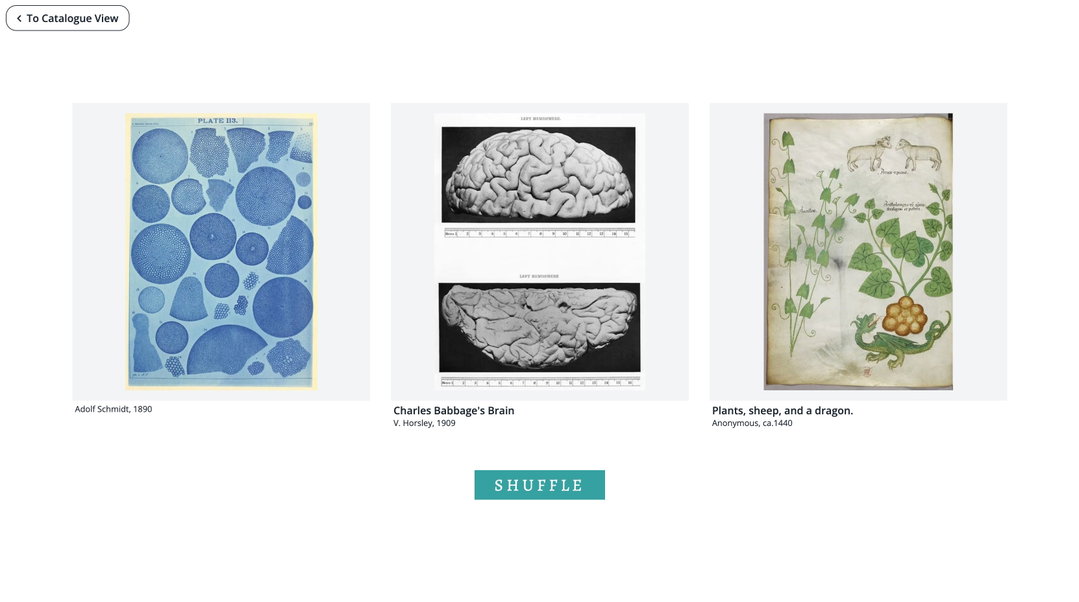 Public Domain Image Archive