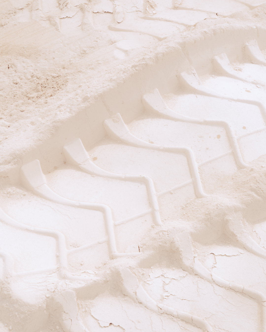 jack-orton-anima-pho-itsnicethat05