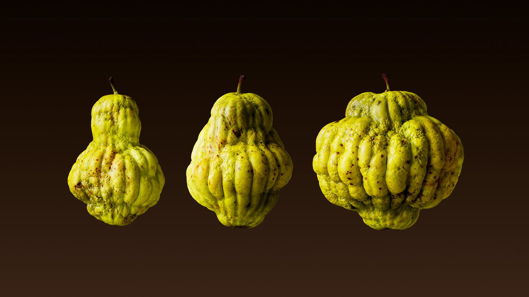 joseph-toreki-tutti-frutti-art-itsnicethat-13