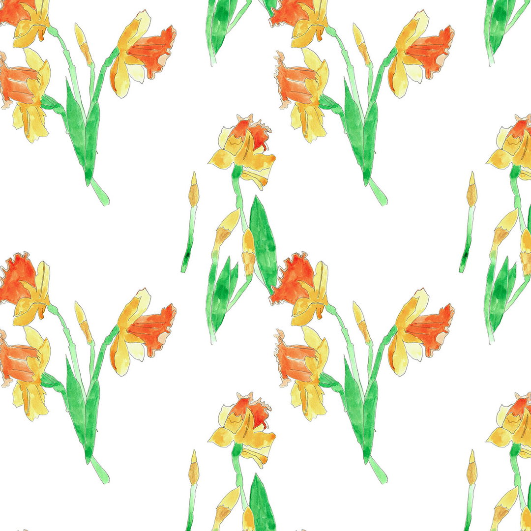 RE19 DAFFODIL PRINT.jpg
