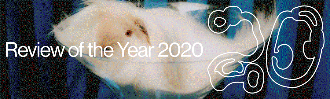Looking back over a year that has shaken the creative world