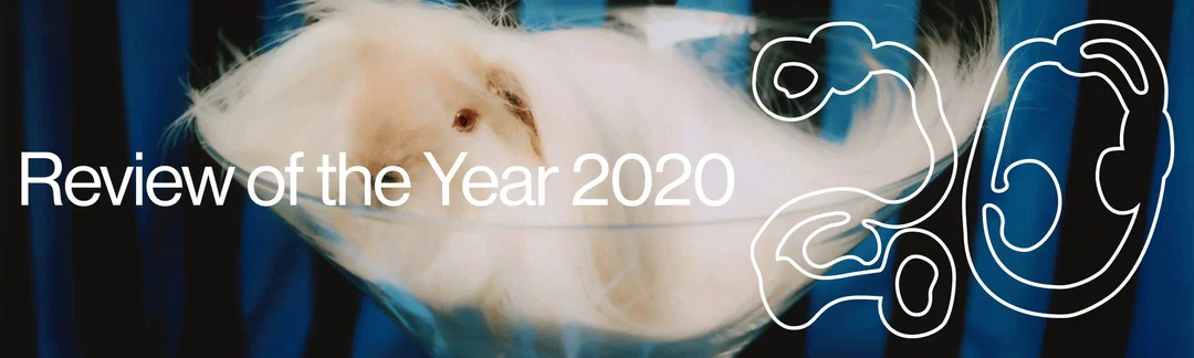 Looking back over a year that has shaken the creative world
