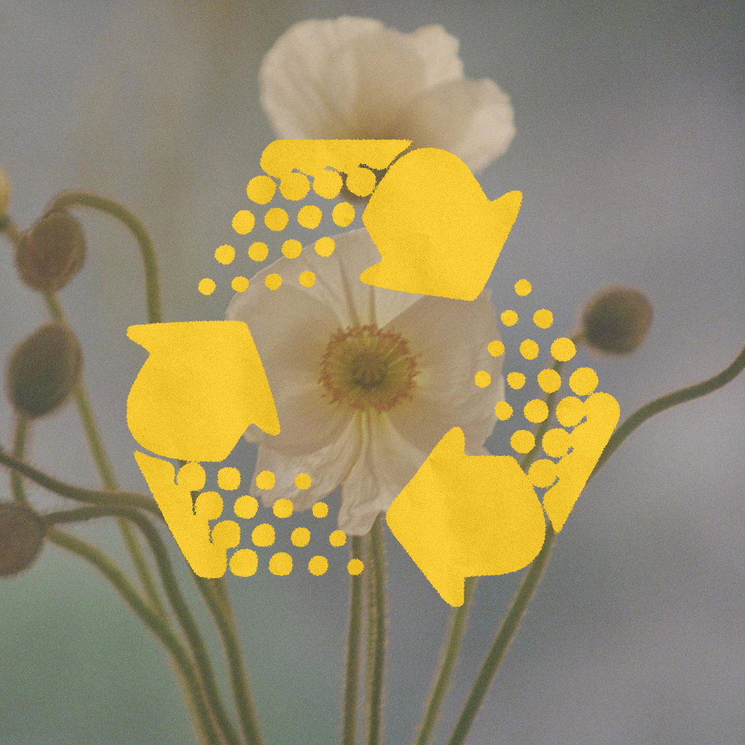 RegretsOnly-TheBigFavourite-GraphicDesign-itsnicethat.jpg