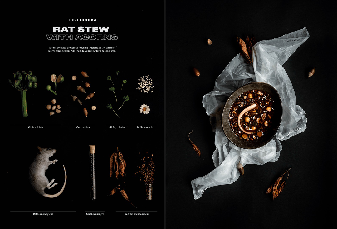 Rat Stew with Acorns.png