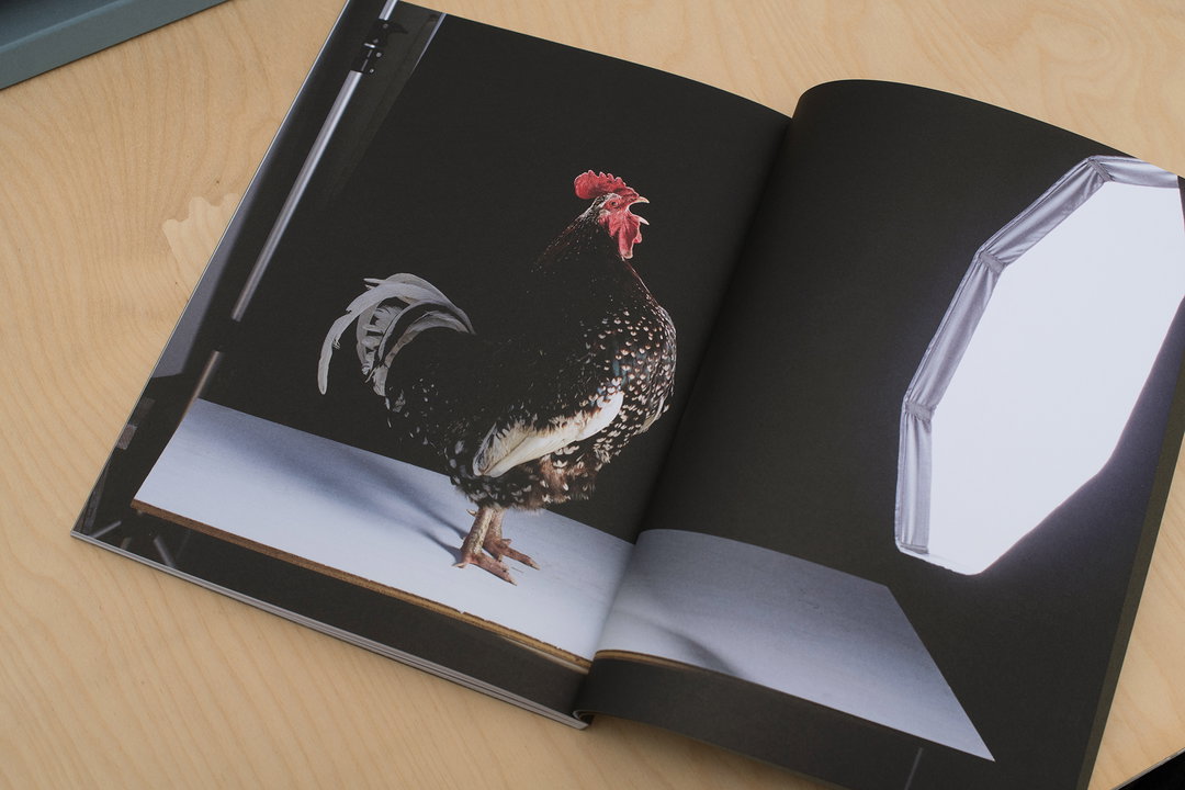 Richy-Lamb-graphicdesign-itsnicethat15.jpg