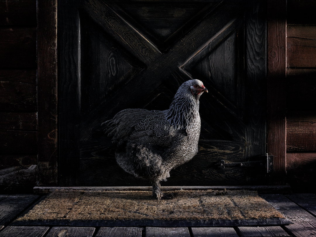 Richy-Lamb-graphicdesign-itsnicethat8.jpg