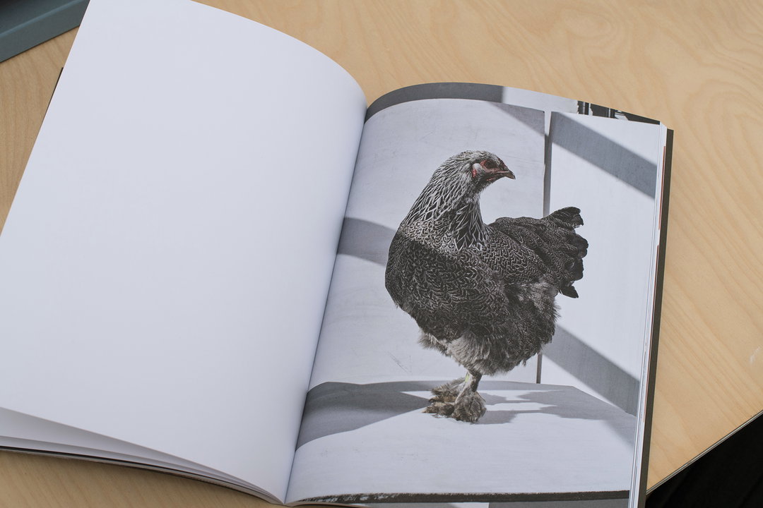 Richy-Lamb-graphicdesign-itsnicethat9.jpg