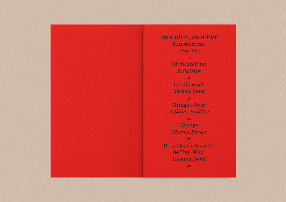 riposte-editions-pub-itsnicethat07