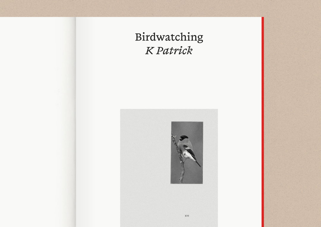 riposte-editions-pub-itsnicethat04