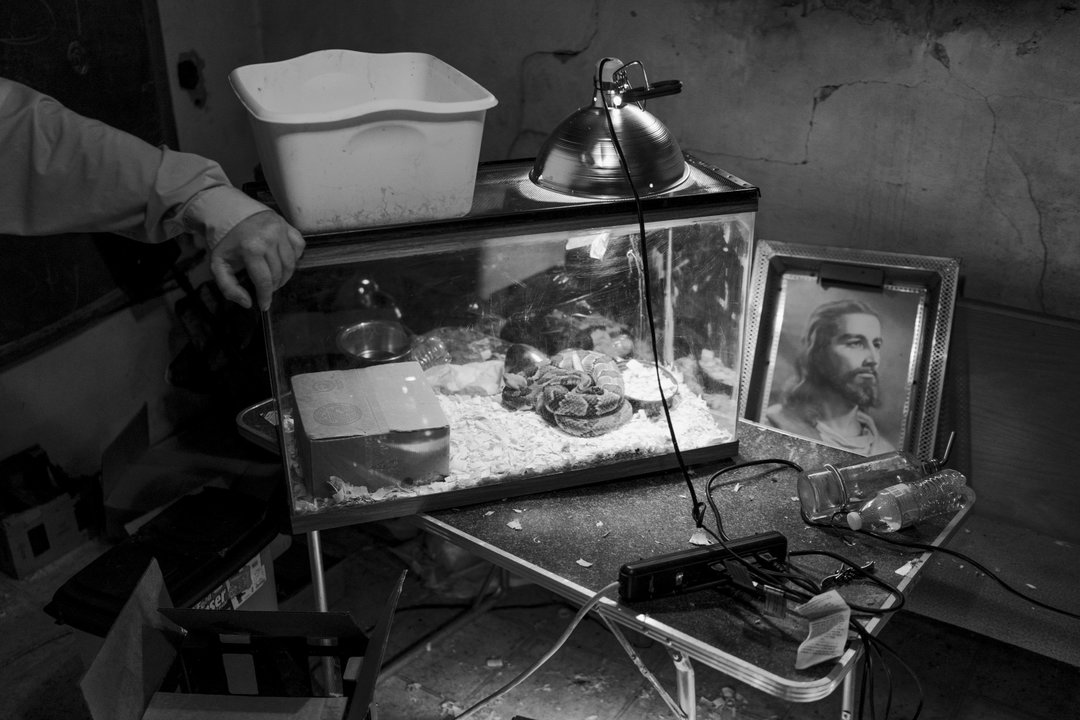 Robert LeBlanc_GLORYLAND_ Untitled #2_Fahey Klein Gallery .jpg