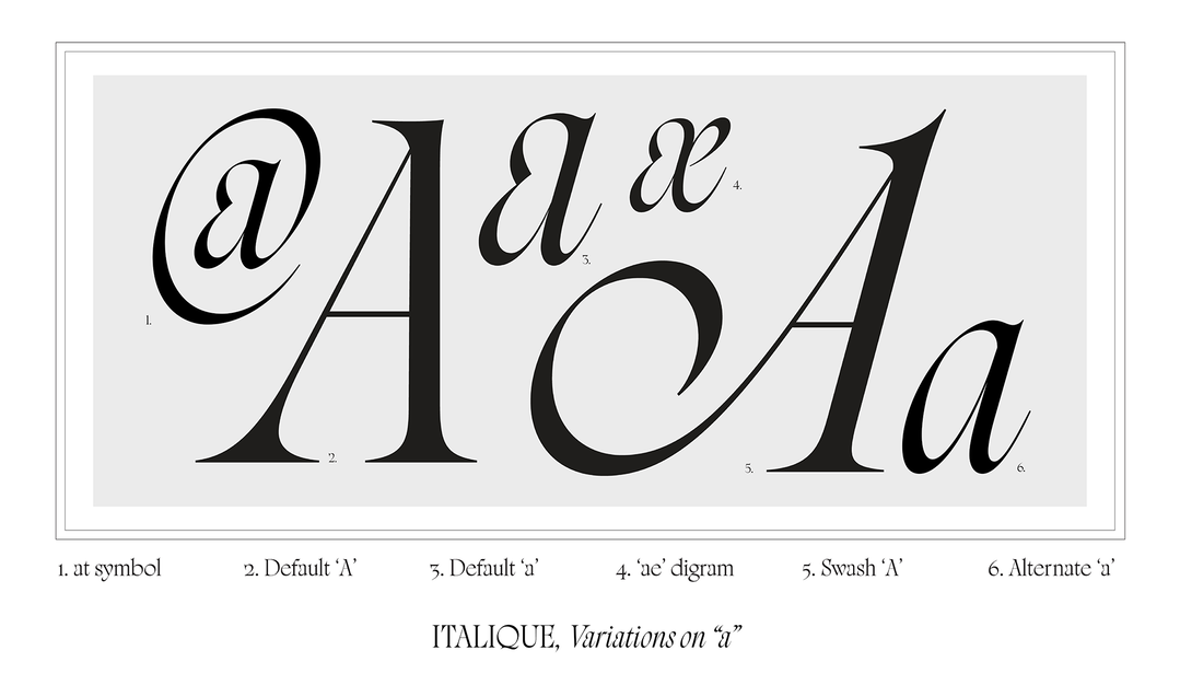 Sharp Type: Rosalie by My-Lan Thuong (copyright @ Sharp Type, 2024)