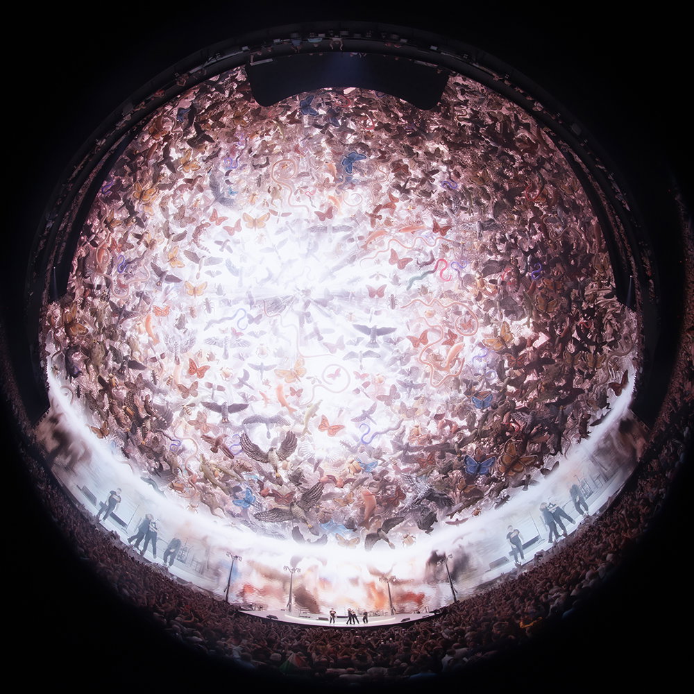 Have we reached peak immersive art?