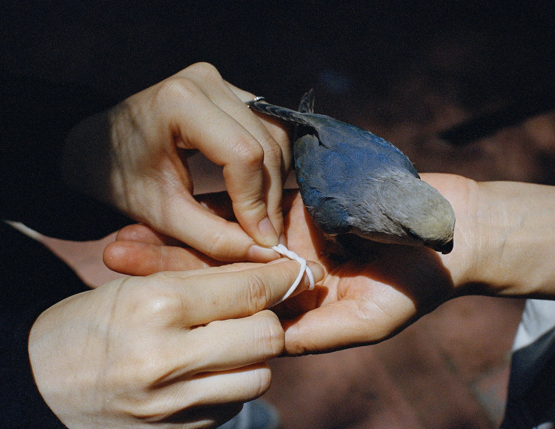 ruizhe-hong-pho-itsnicethat10