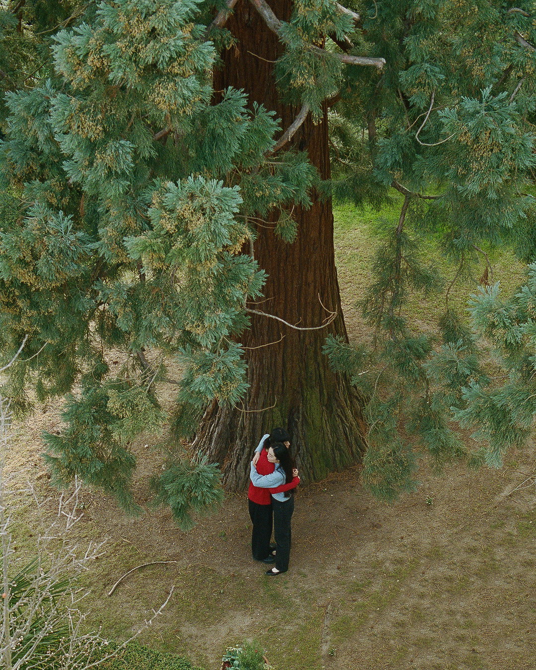 ruizhe-hong-pho-itsnicethat04