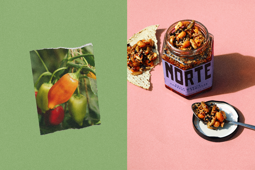 Monumento-Norte-GraphicDesign-itsnicethat.png