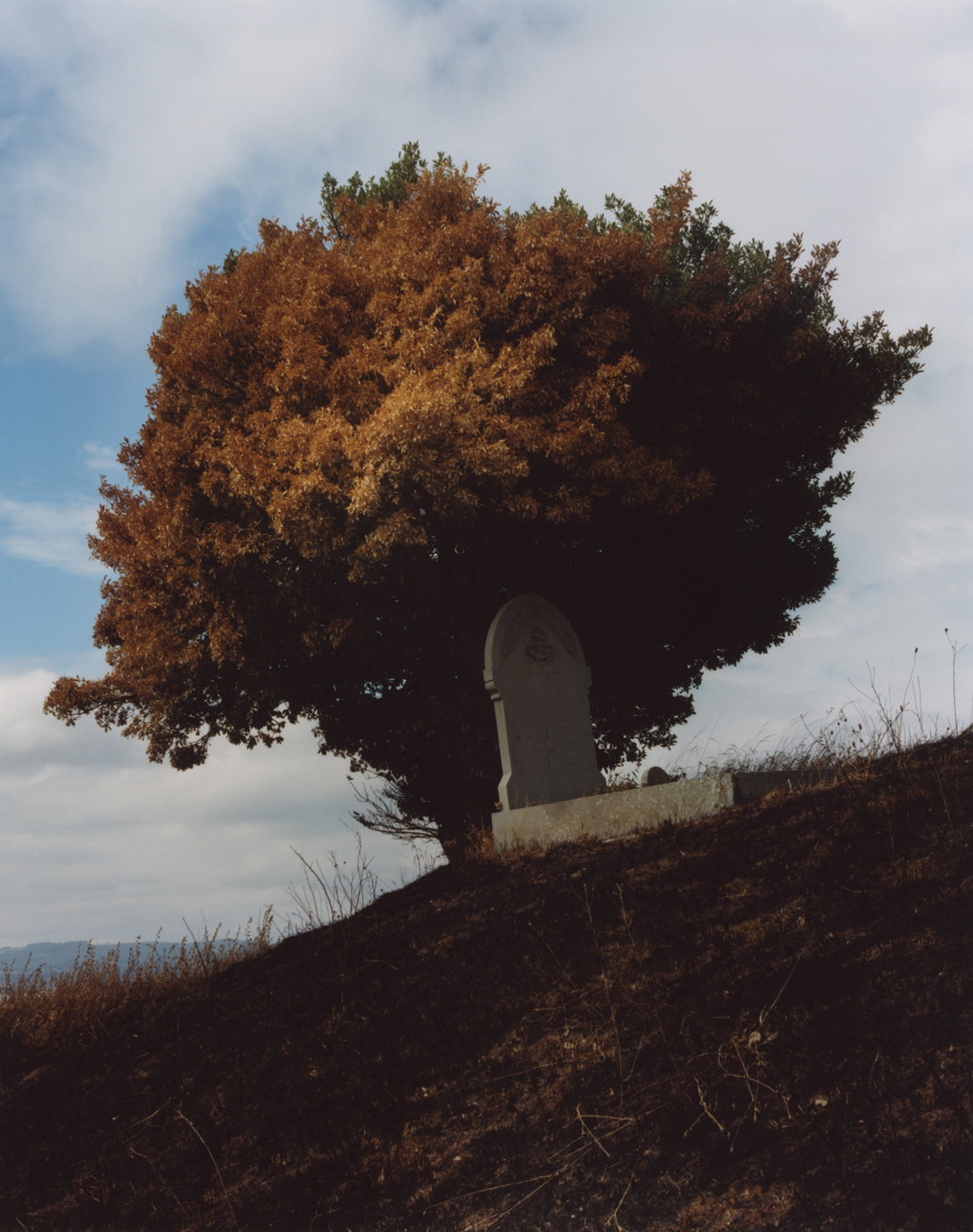 chris-hoare-pho-itsnicethat13