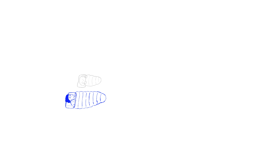 SH02_012020_AZ2.gif