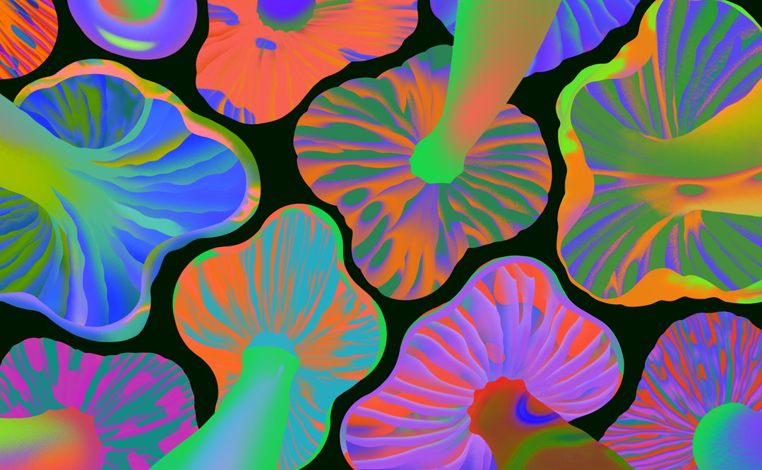 saiman-chow-illo-itsnicethat06