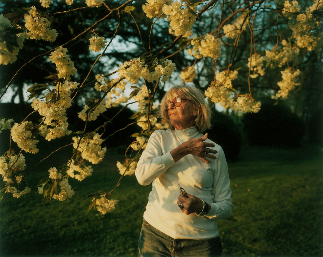 Sally-Cherry-Blossom.jpg