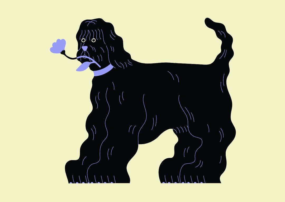 Sarah Cliff_illustration_itsnicethat_Black dog.jpg