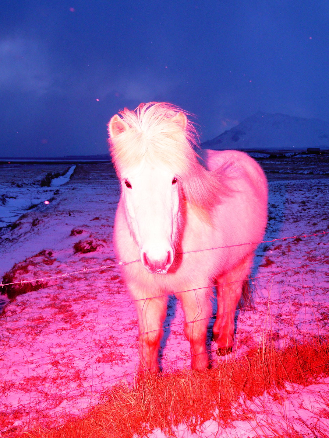 sasha-elage-magic-island-pho-itsnicethat10