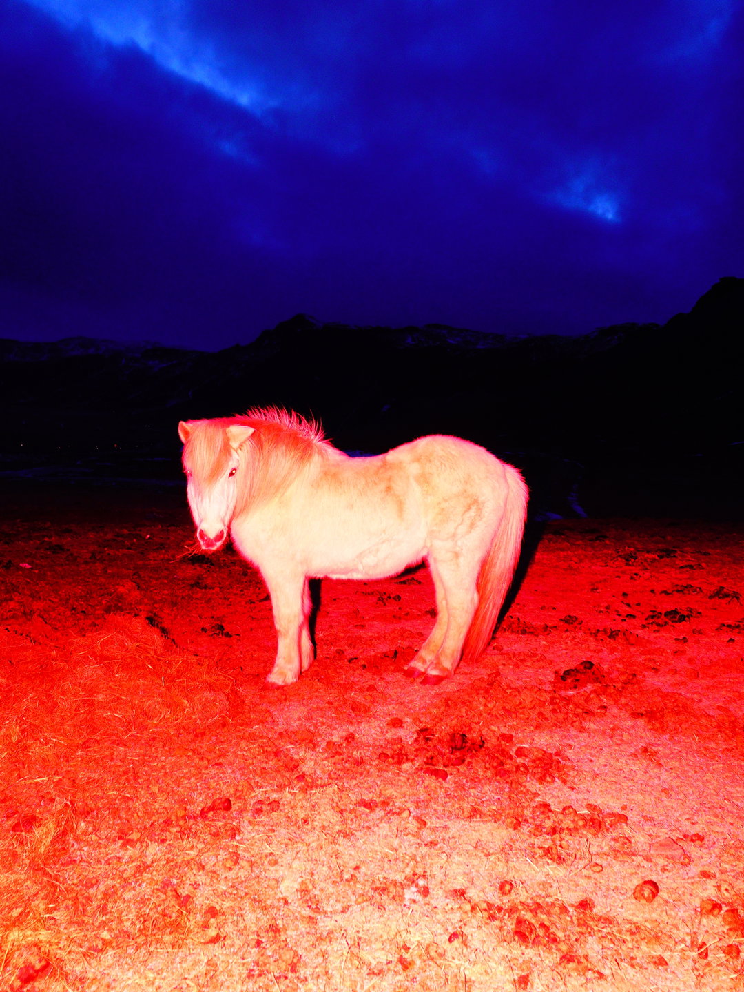 sasha-elage-magic-island-pho-itsnicethat11