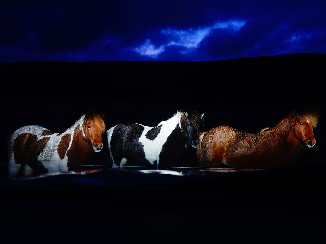 sasha-elage-magic-island-pho-itsnicethat13