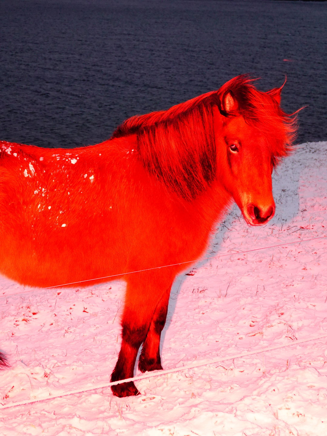 sasha-elage-magic-island-pho-itsnicethat15
