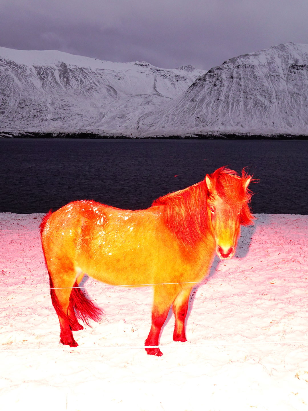 sasha-elage-magic-island-pho-itsnicethat01
