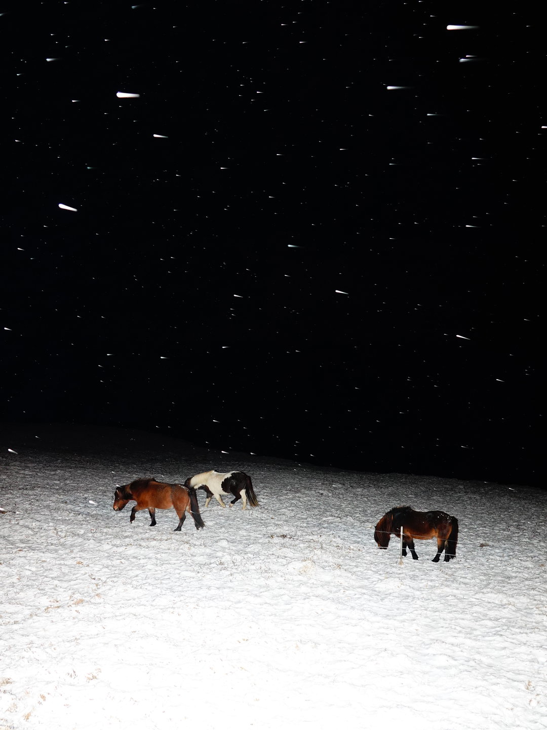sasha-elage-magic-island-pho-itsnicethat02